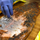 Image for article titled The most interesting food finds from the 2018 National Restaurant Association Show